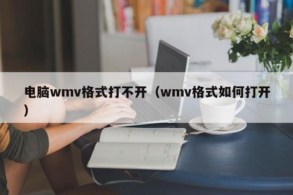 电脑wmv格式打不开（wmv格式如何打开）