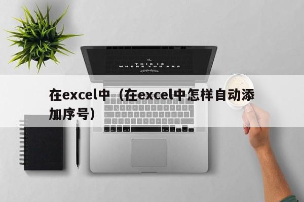 在excel中（在excel中怎样自动添加序号）