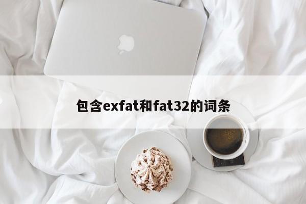 包含exfat和fat32的词条