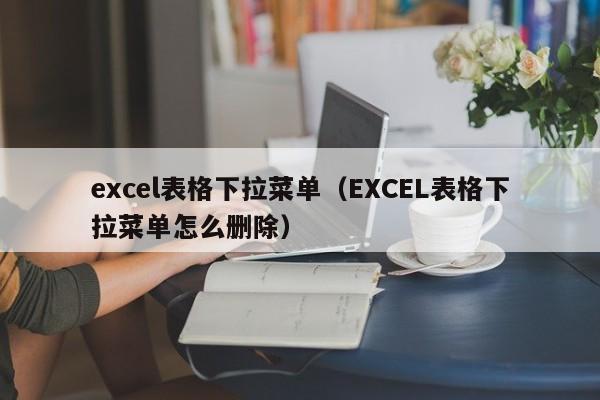 excel表格下拉菜单（EXCEL表格下拉菜单怎么删除）