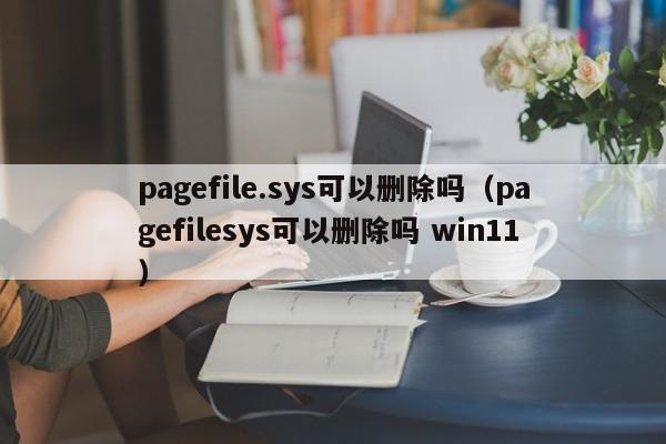 pagefile.sys可以删除吗（pagefilesys可以删除吗 win11）