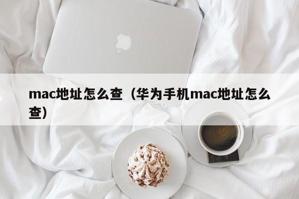 mac地址怎么查（华为手机mac地址怎么查）