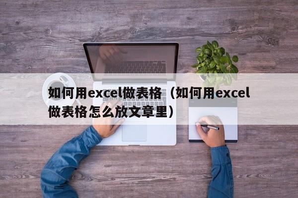 如何用excel做表格（如何用excel做表格怎么放文章里）