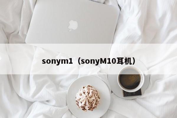 sonym1（sonyM10耳机）