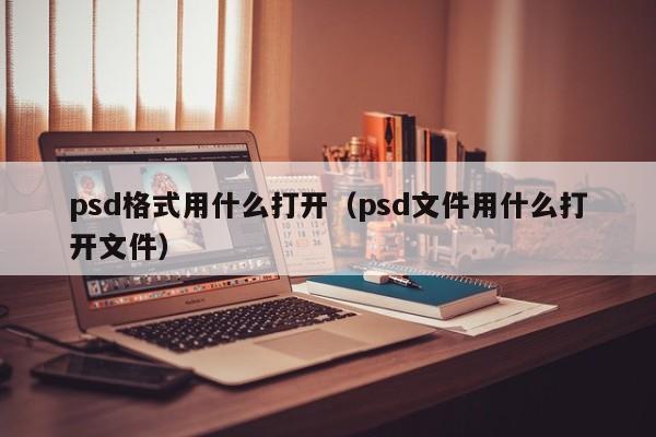 psd格式用什么打开（psd文件用什么打开文件）