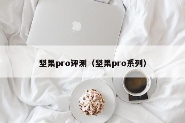 坚果pro评测（坚果pro系列）