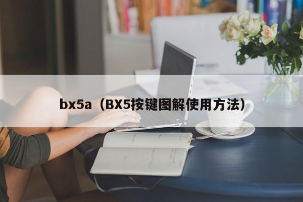 bx5a（BX5按键图解使用方法）