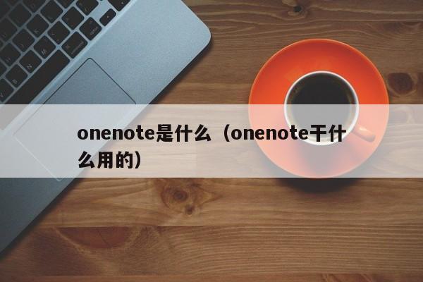 onenote是什么（onenote干什么用的）