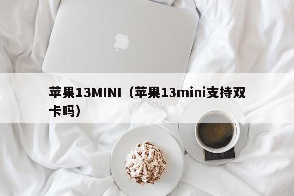 苹果13MINI（苹果13mini支持双卡吗）