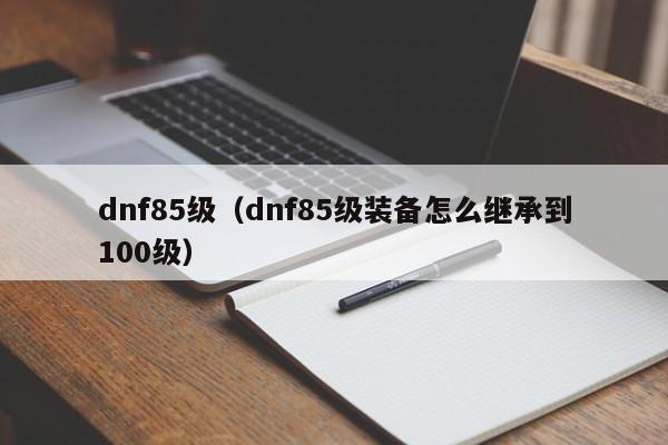 dnf85级（dnf85级装备怎么继承到100级）