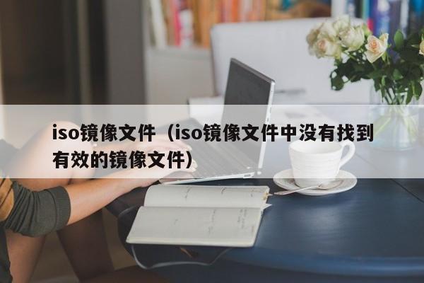 iso镜像文件（iso镜像文件中没有找到有效的镜像文件）