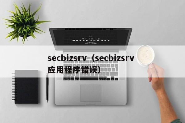 secbizsrv（secbizsrv 应用程序错误）