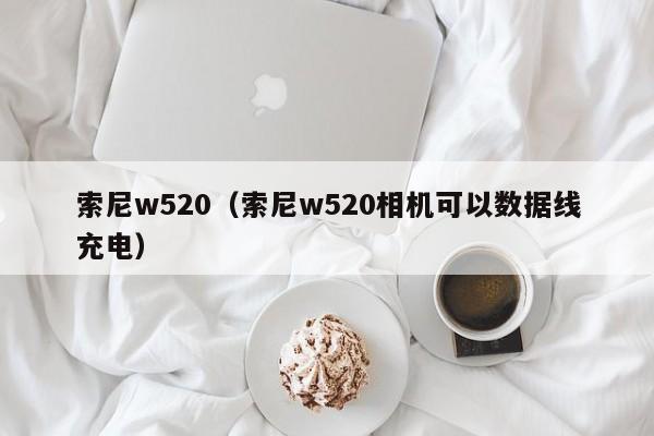 索尼w520（索尼w520相机可以数据线充电）