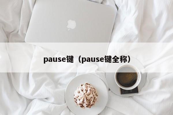 pause键（pause键全称）