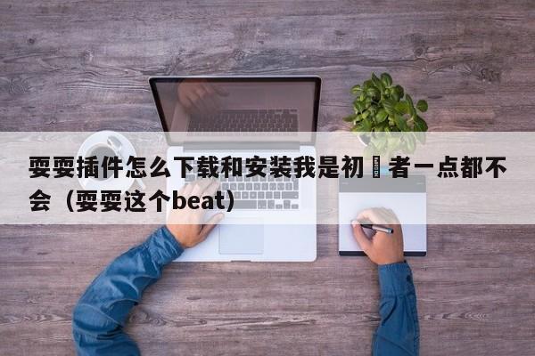 耍耍插件怎么下载和安装我是初學者一点都不会（耍耍这个beat）