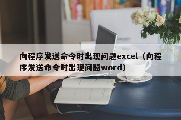 向程序发送命令时出现问题excel（向程序发送命令时出现问题word）