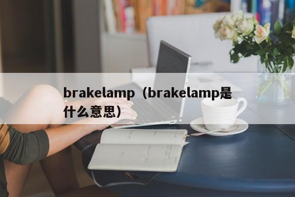 brakelamp（brakelamp是什么意思）