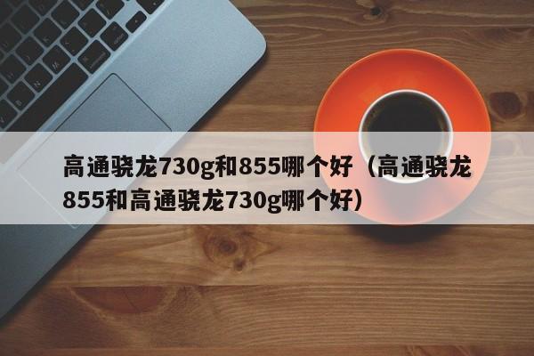 高通骁龙730g和855哪个好（高通骁龙855和高通骁龙730g哪个好）