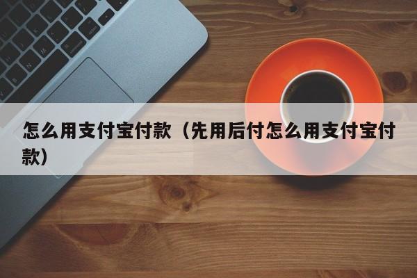 怎么用支付宝付款（先用后付怎么用支付宝付款）