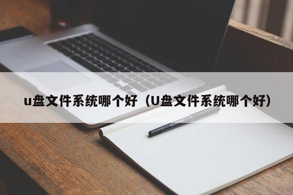 u盘文件系统哪个好（U盘文件系统哪个好）