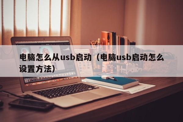 电脑怎么从usb启动（电脑usb启动怎么设置方法）