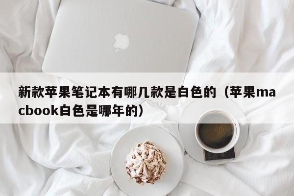 新款苹果笔记本有哪几款是白色的（苹果macbook白色是哪年的）