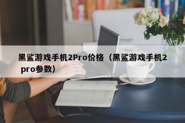 黑鲨游戏手机2Pro价格（黑鲨游戏手机2 pro参数）