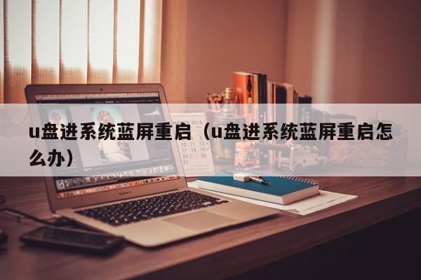 u盘进系统蓝屏重启（u盘进系统蓝屏重启怎么办）