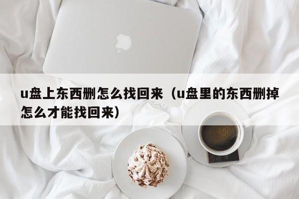 u盘上东西删怎么找回来（u盘里的东西删掉怎么才能找回来）