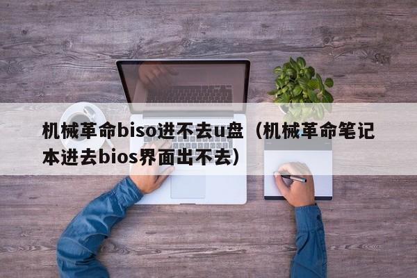 机械革命biso进不去u盘（机械革命笔记本进去bios界面出不去）