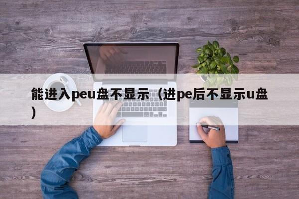 能进入peu盘不显示（进pe后不显示u盘）