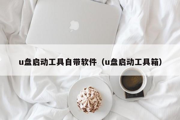 u盘启动工具自带软件（u盘启动工具箱）