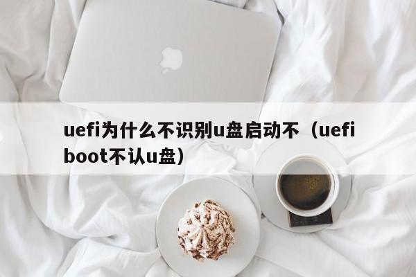 uefi为什么不识别u盘启动不（uefiboot不认u盘）