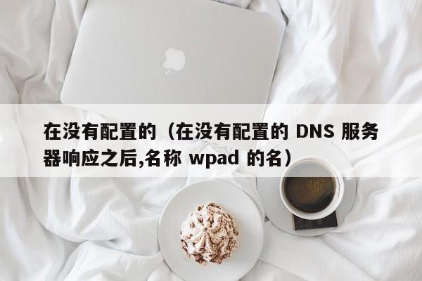 在没有配置的（在没有配置的 DNS 服务器响应之后,名称 wpad 的名）