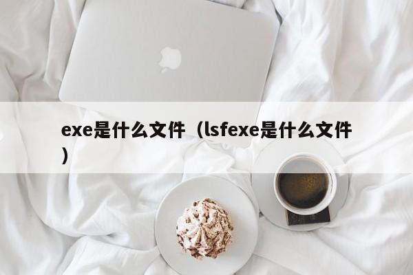 exe是什么文件（lsfexe是什么文件）