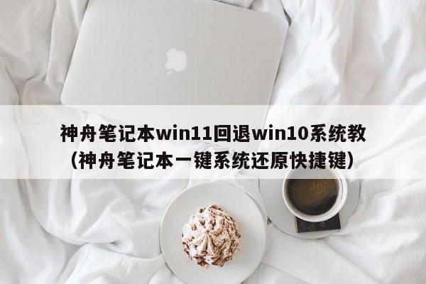 神舟笔记本win11回退win10系统教（神舟笔记本一键系统还原快捷键）