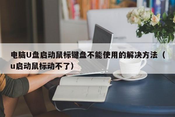 电脑U盘启动鼠标键盘不能使用的解决方法（u启动鼠标动不了）