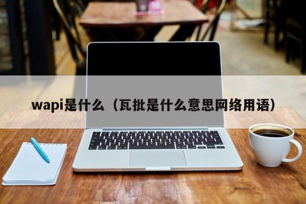 wapi是什么（瓦批是什么意思网络用语）