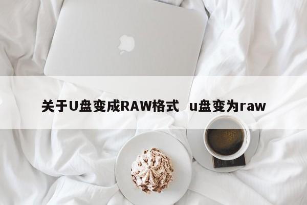 关于U盘变成RAW格式  u盘变为raw