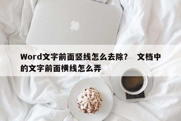 Word文字前面竖线怎么去除？  文档中的文字前面横线怎么弄